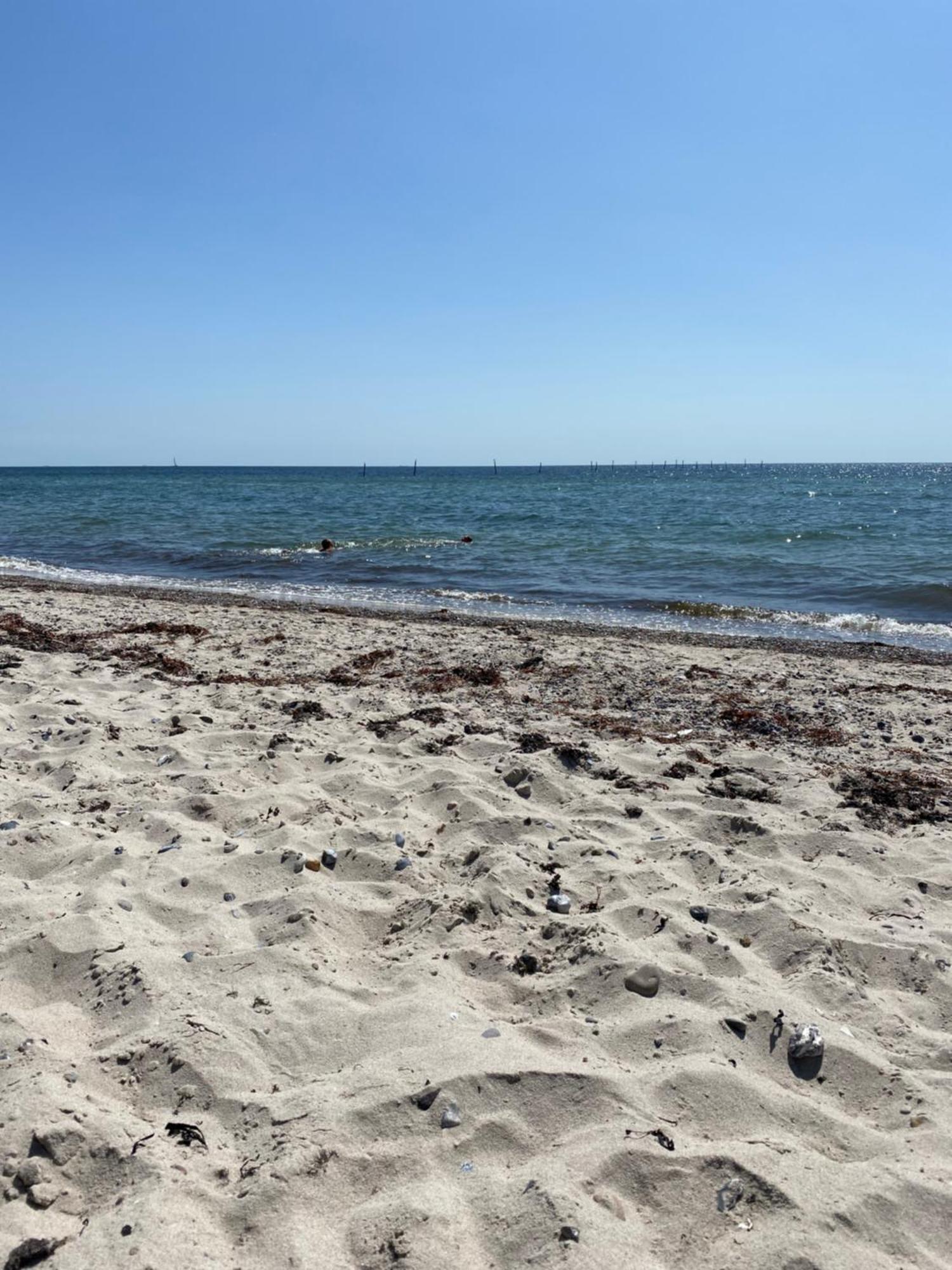 Hummingen Strandvej Dannemare Екстериор снимка